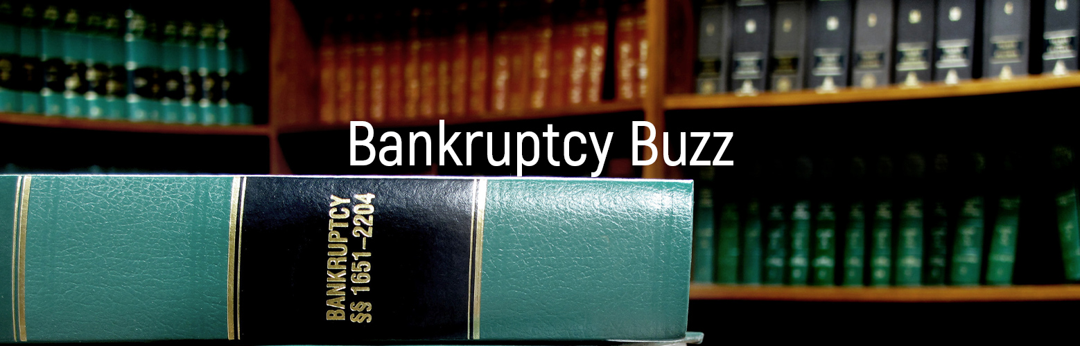A Debtor in Bankruptcy and PPP Loans